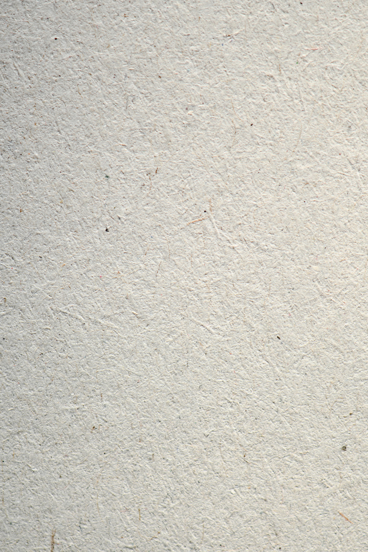 Textured White Concrete Wall
