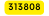 313808