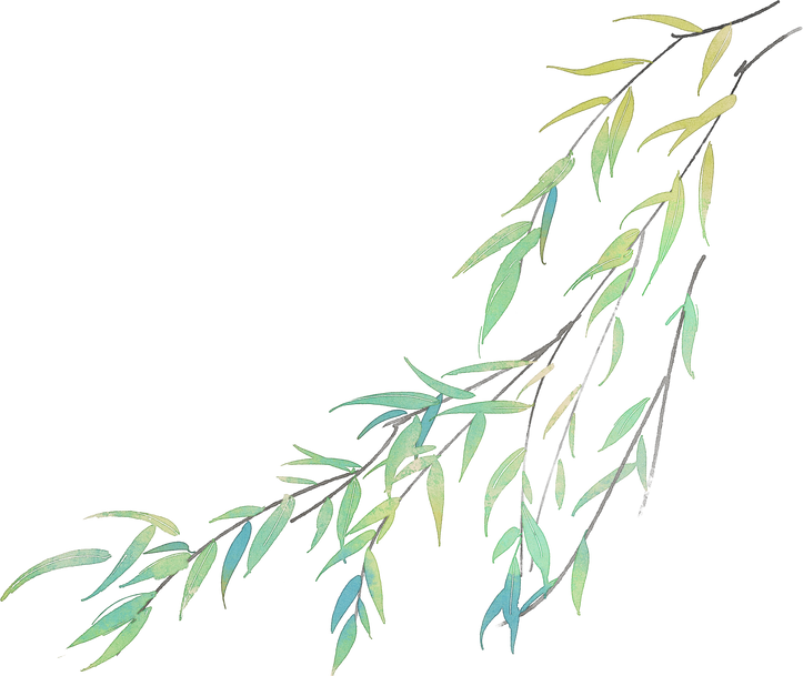 清明节山水插画-柳条