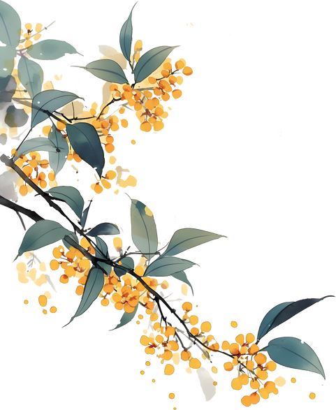 水墨风花卉插画-桂花