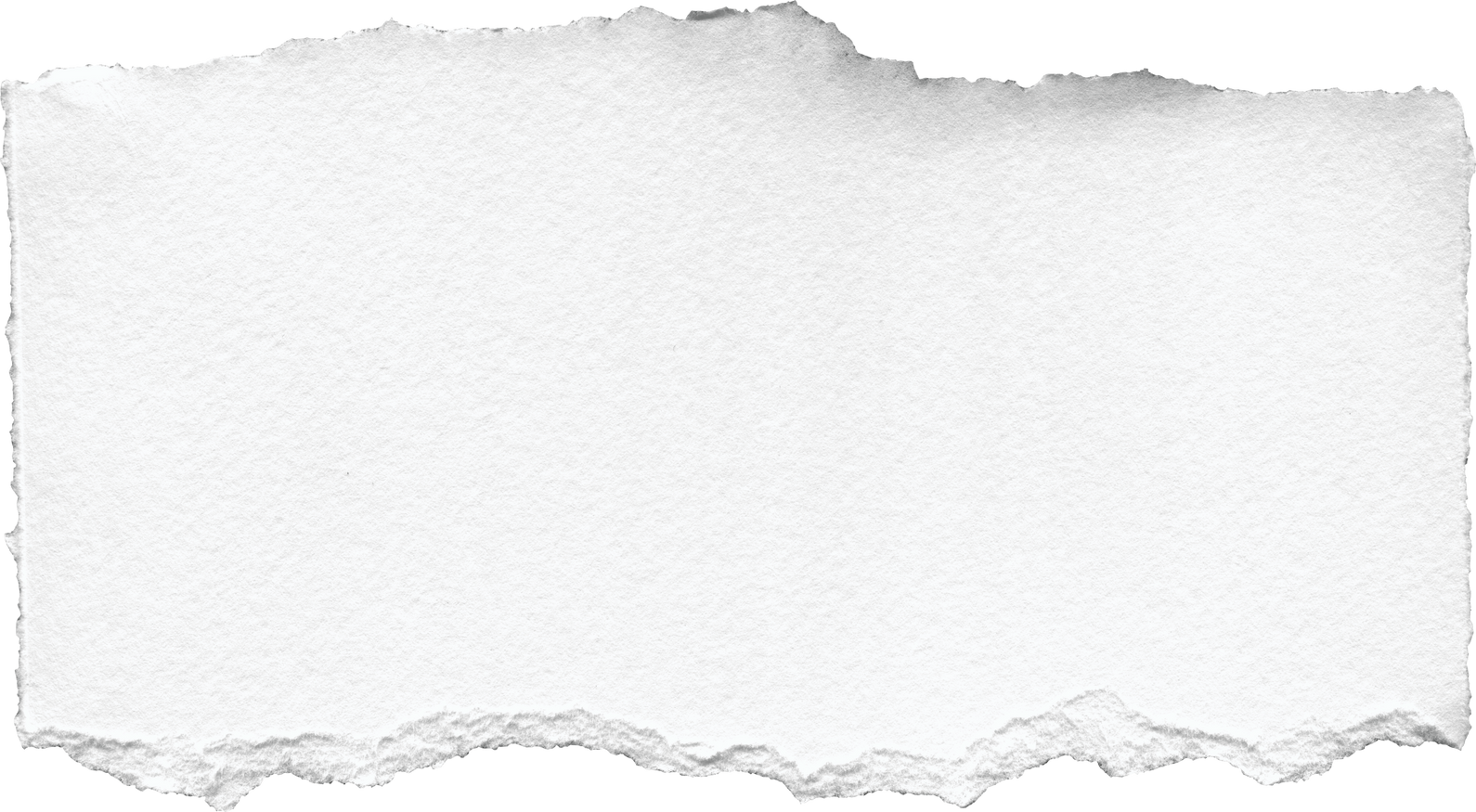 Realistic Torn Paper Strip