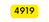 4919