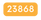 23868