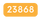 23868