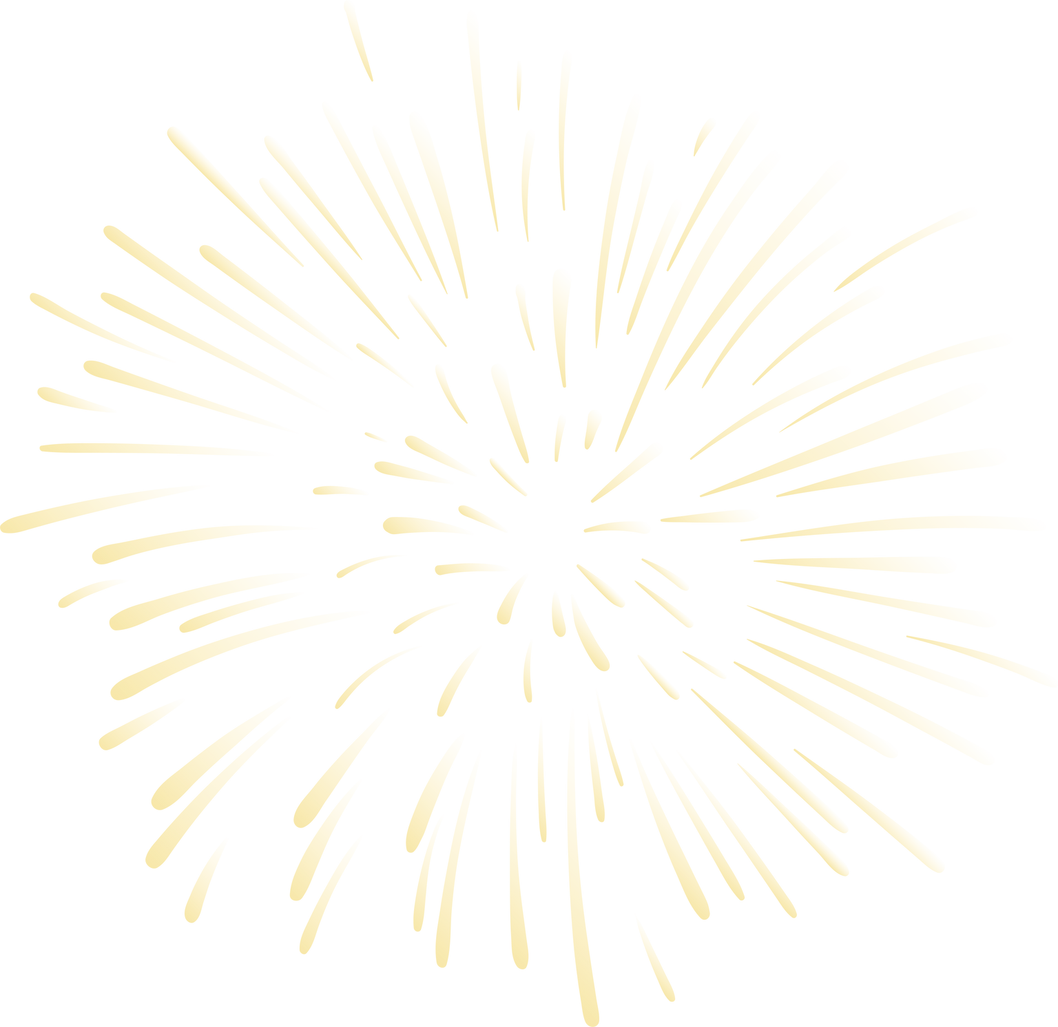 Firework