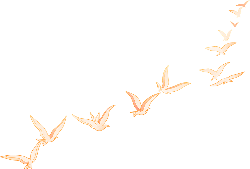 国庆节完整插画-鸽子
