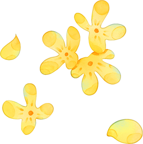 中秋清新手绘插画-桂花花瓣
