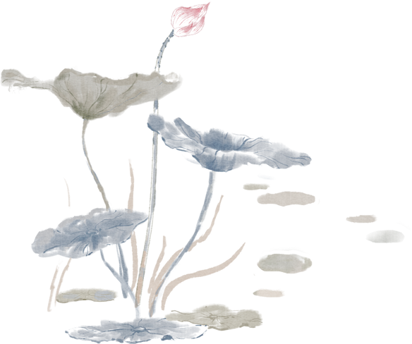 处暑水墨风插画-荷花组合3