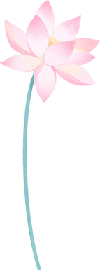 秋季节气清新水墨插画处暑-荷花