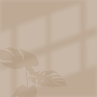 Window and Plant Shadow Illustration