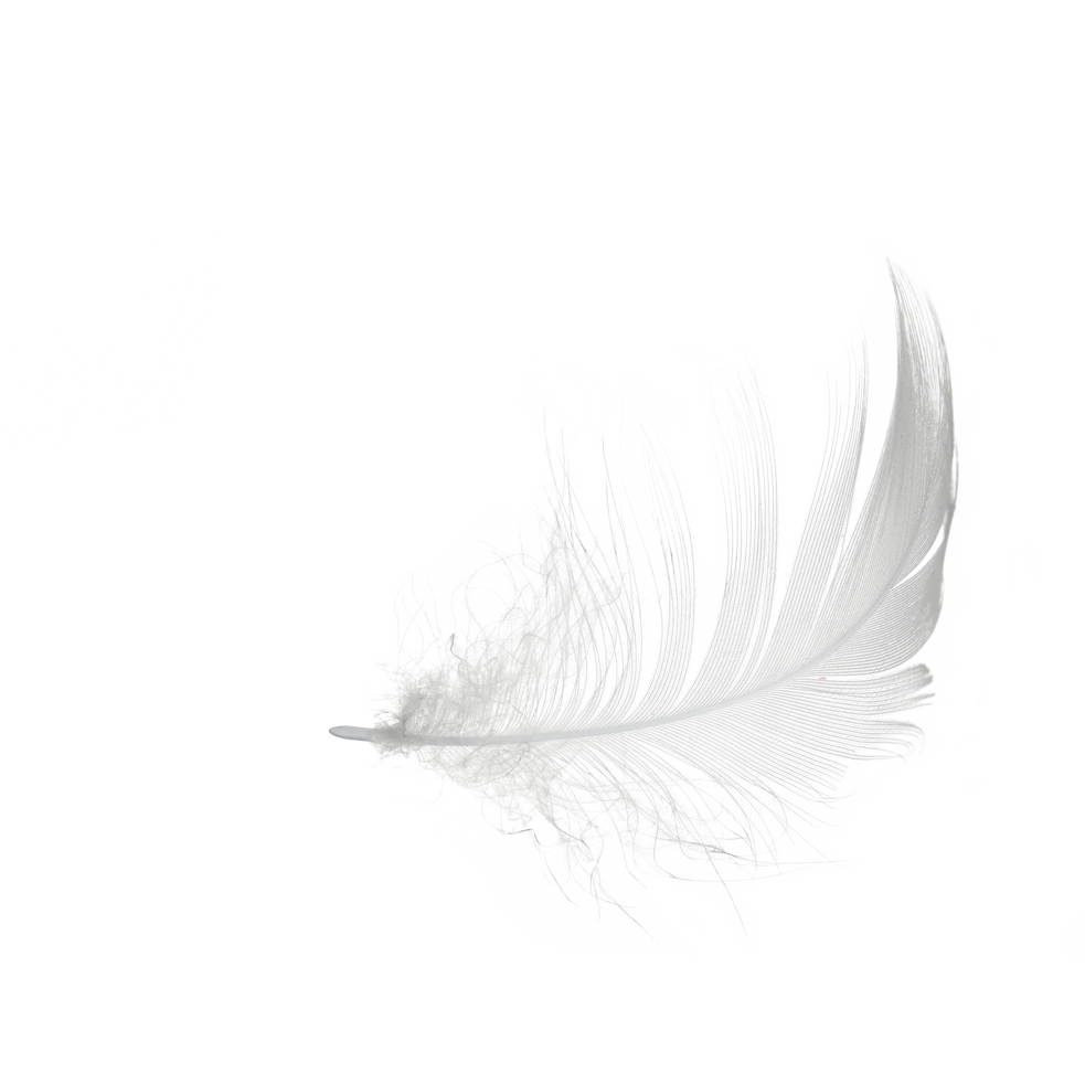 White Feather 