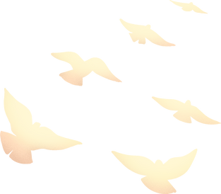 劳动节复古大字报插画素材-鸽子