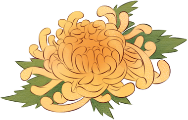 重阳节古风水墨插画-菊花