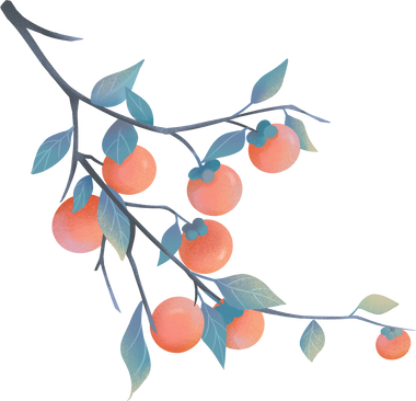 秋季节气清新水墨插画霜降-柿子树枝