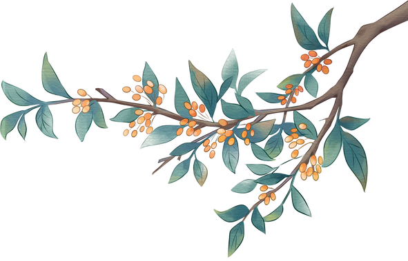 重阳节古风水墨插画-茱萸