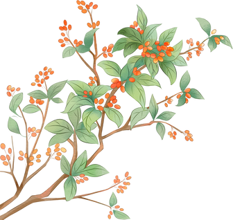 重阳节古风水墨插画-红色茱萸